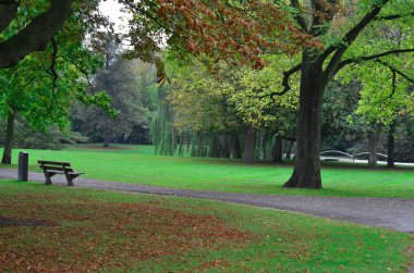 Güzel şehir parkı Rotterdam, Hollanda