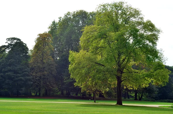 Městský park v Rotterdam, Nizozemsko — Stock fotografie