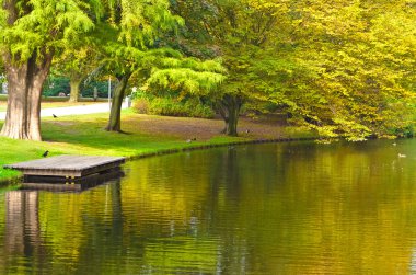 Güzel şehir parkı Rotterdam, Hollanda