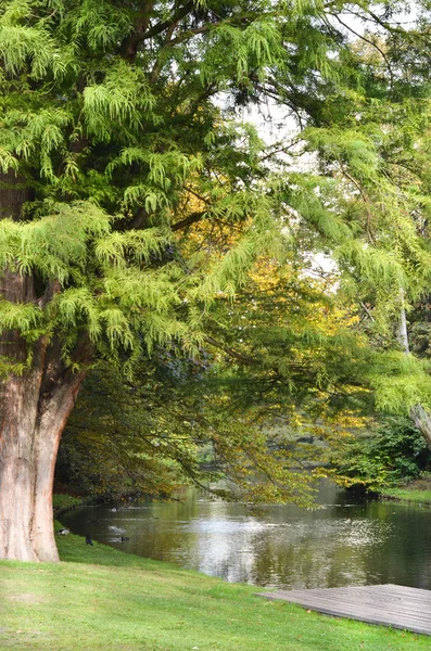 Bellissimo parco cittadino a Rotterdam, Paesi Bassi — Foto Stock