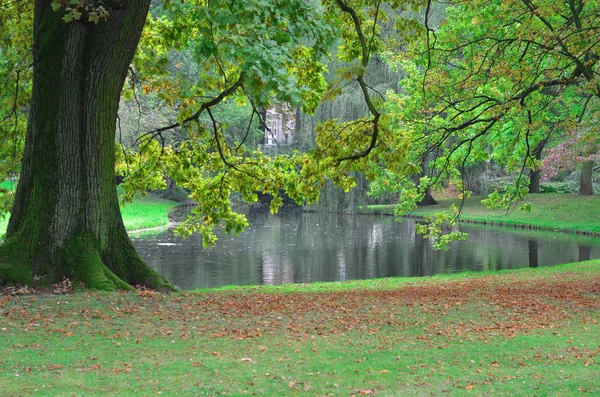 Bellissimo parco cittadino a Rotterdam, Paesi Bassi — Foto Stock