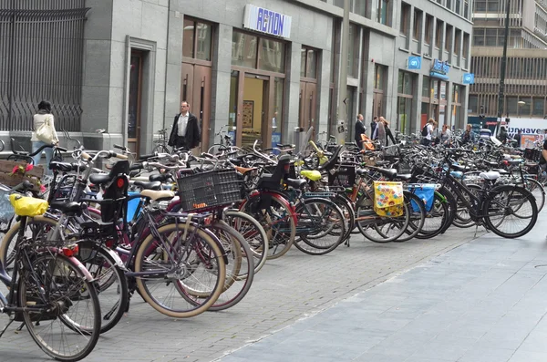 Weergave van fietsen in de straat in Nertherlands — Stockfoto