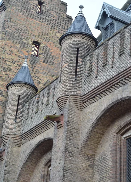 Gotická fasáda ridderzaal v binnenhof, Haag, Nizozemsko — Stock fotografie