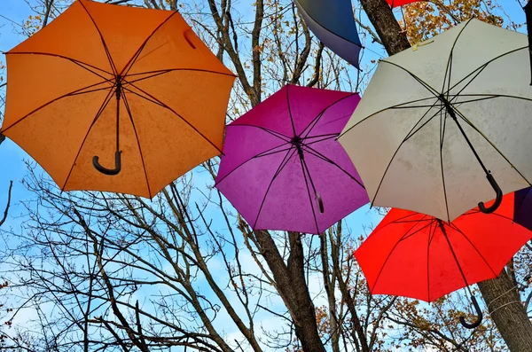 Сolorful umbrellas hanging in the trees — Stock Photo, Image