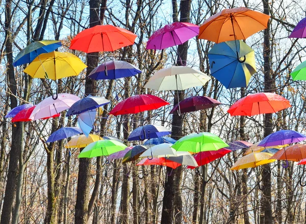 Many Umbrellas on the trees in park — Stock Photo, Image