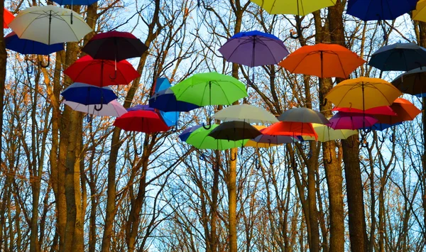 Many umbrellas hang on trees. Freedom. — Stock Photo, Image