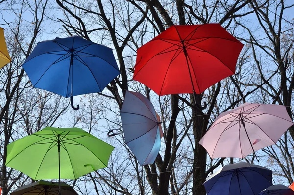 Bright umbrellas. Freedom concept — Stock Photo, Image