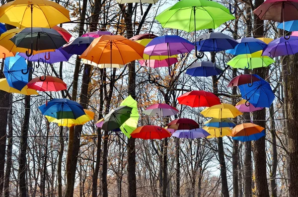 Bright umbrellas. Freedom concept — Stock Photo, Image