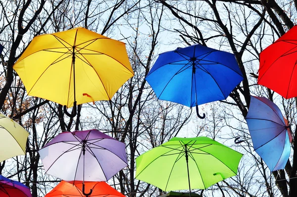 Bright umbrellas. Bright Colors. Freedom concept — Stock Photo, Image