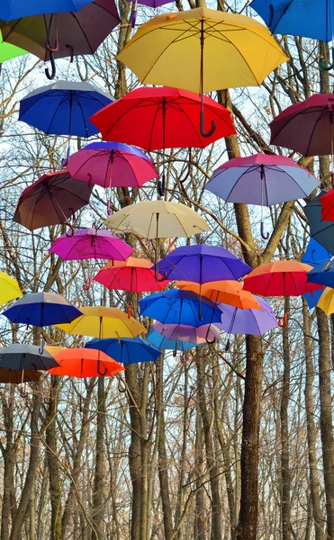 Mnoho světlých deštníky. Jasné, ostré barvy. Koncept svobody Stock Obrázky