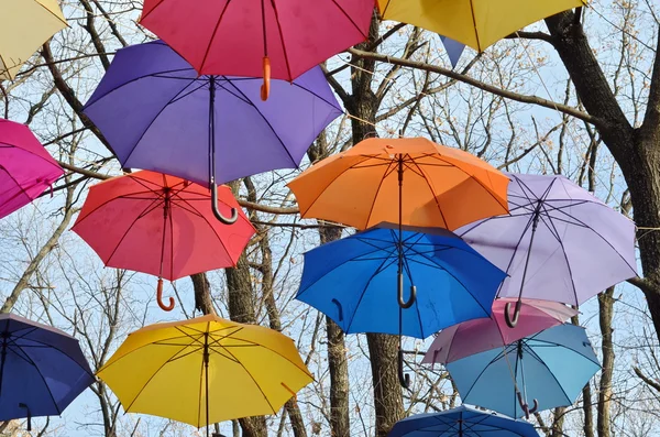 Many umbrellas hang on trees. Freedom. — Stock Photo, Image