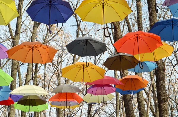 Many umbrellas hang on trees. Freedom. — Stock Photo, Image