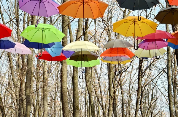 Many umbrellas hang on trees. Freedom. — Stock Photo, Image