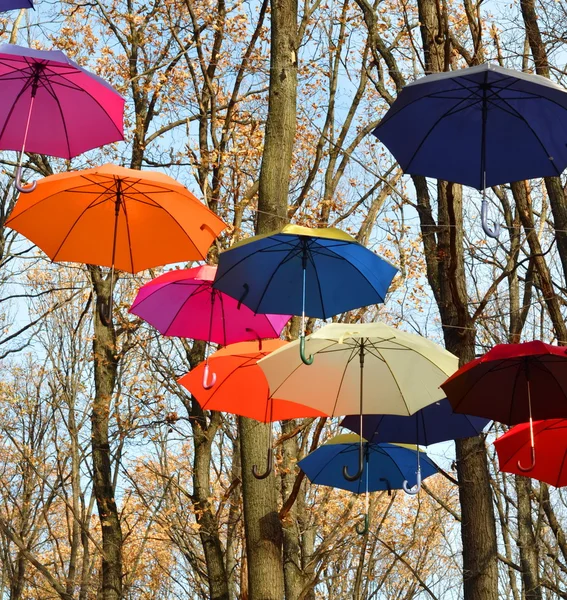 Many umbrellas hang on trees. Freedom. — Stock Photo, Image