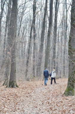 Sonbaharda parkta yürüyen bir çift