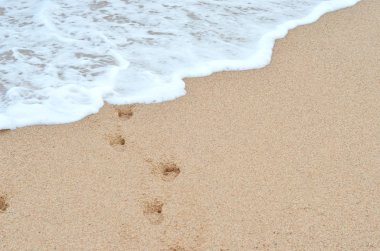 Plaj ve deniz. Çocuk ayak sesleri