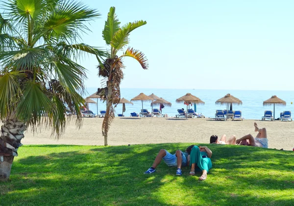 Palm tree leaves over luxury beach — Stock Photo, Image