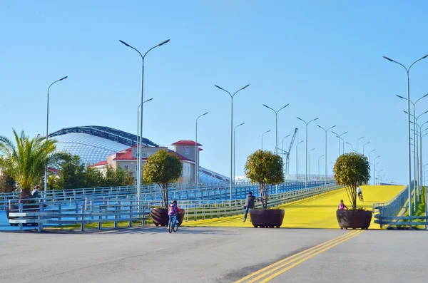 Sochi Olimpiyat Parkı, Olimpiyat Oyunları 2014, Rusya Federasyonu.