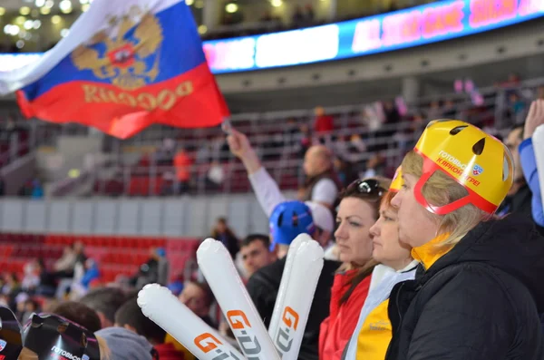 Hóquei no gelo em Sochi, Rússia 2015 — Fotografia de Stock