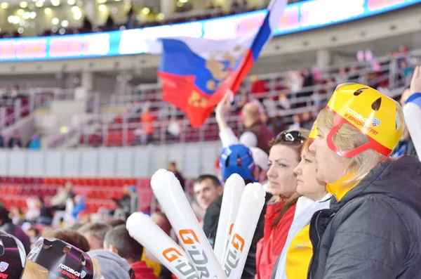 Hockey sobre hielo en Sochi, Rusia 2015 Imagen de stock