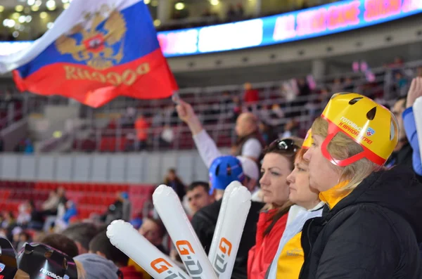 Hockey sobre hielo en Sochi, Rusia 2015 Imágenes de stock libres de derechos