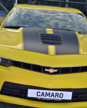 Chevrolet Camaro araba portre