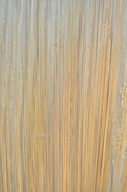 Altın perdeleri portre