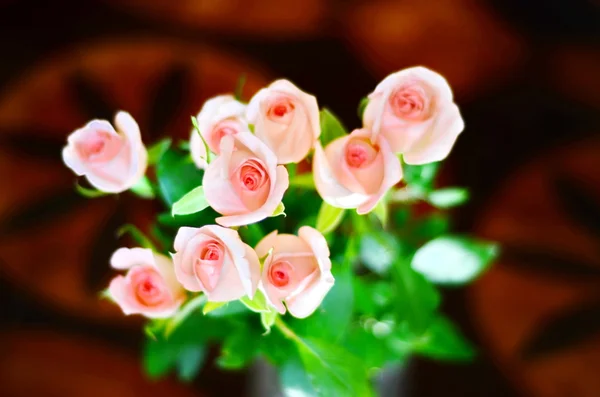 Desenfoque desenfoque flores pastel - rosas sobre fondo tierno —  Fotos de Stock
