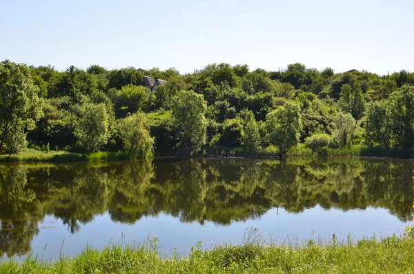 Alberi riflessi nell'acqua — Foto Stock