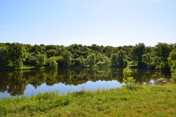 Träd som reflekteras i vatten — Stockfoto