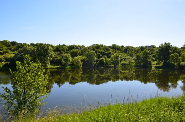 Träd som reflekteras i vatten — Stockfoto