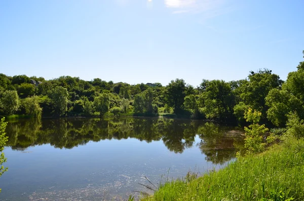 Träd som reflekteras i vatten — Stockfoto