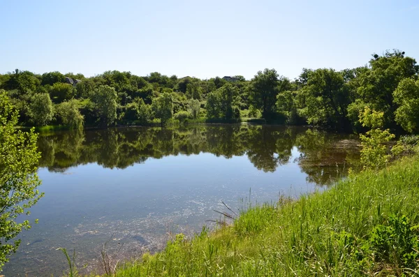 Träd som reflekteras i vatten — Stockfoto