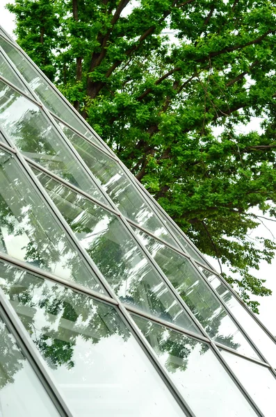 Сучасна офісна будівля з деревами, що відображають — стокове фото