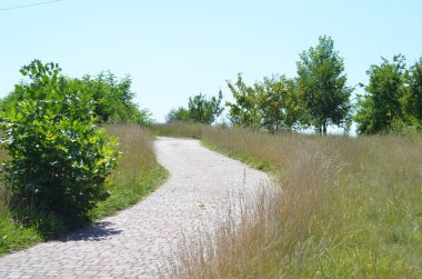 Yol ve mavi gökyüzü, yeşil çimen, ağaçlar