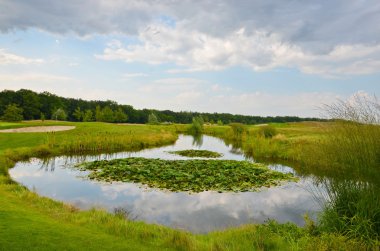 Yeşil lilly yastıkları