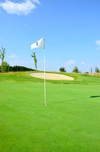 골프 플래그, 녹색 잔디, — 스톡 사진