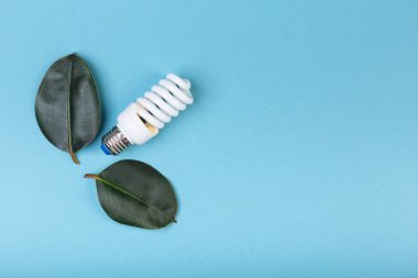 Yeşil yapraklı enerji tasarruflu floresan lamba, ECO enerji kavramı