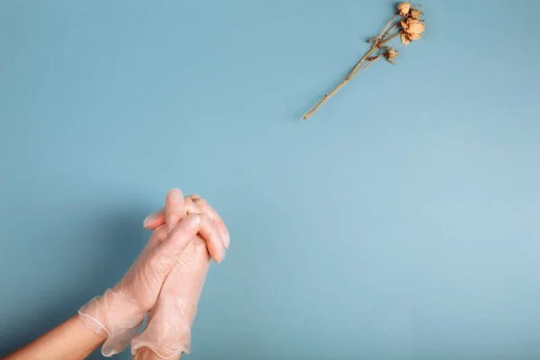 Woman Hand White Medical Gloves Reaching Withered White Rose Isolated — Stock Photo, Image