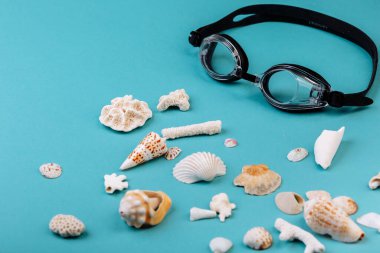 Deniz kabukları, mercanlar, mavi arka planda duran deniz kabukları, metin başlığıyla izole edilmiş. Tatil belleği kavramı