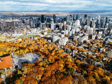 Montreal 'in sonbaharda Mont Royal dağından gökyüzü manzarası, ufuk çizgisi ve sonbahar yaprakları. g.