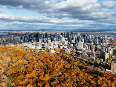 Montreal 'in sonbaharda Mont Royal dağından gökyüzü manzarası, ufuk çizgisi ve sonbahar yaprakları. g.