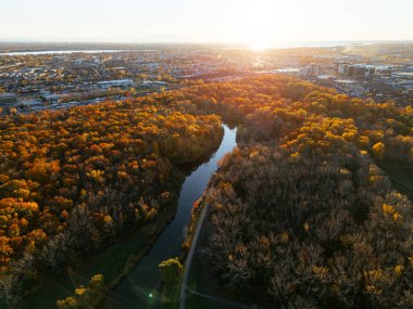 Montreals Angrignon parkının ve şehir manzarası yakınlarındaki şehir ormanlarının hava görüntüsü. g.