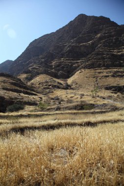 Ashgabat yakınlarındaki Markau Dağı 'nda kurak vadi, kuru tepeler ve açık mavi gökyüzünün altında seyrek ağaçlar. g.