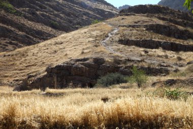 Ashgabat yakınlarındaki Markau Dağı 'nda kurak vadi, kuru tepeler ve açık mavi gökyüzünün altında seyrek ağaçlar. g.