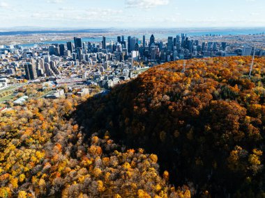 Montreal ufuk çizgisinin sonbahar havası ve canlı sonbahar yeşillikleriyle Royal Park Dağı. g.