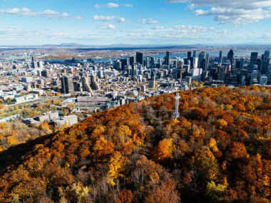 Montreal ufuk çizgisinin sonbahar havası ve canlı sonbahar yeşillikleriyle Royal Park Dağı. g.