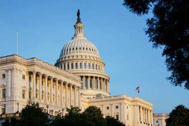 Washington Anıtı 'nın ve Washington DC' deki National Mall 'da bayrakları ve insanları olan ABD Kongre Binası' nın manzarası. g.