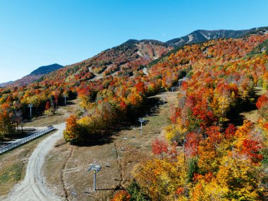White Face Dağ Kayak Merkezi 'nde Sonbahar Bayrağı. Renk Değişikliği, Vermont, ABD.