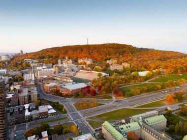 Sonbahar ormanı, kentsel binalar ve dökülen yapraklarla gündoğumunda ve batımında Royal ve Montreal dağlarının hava manzarası. g.